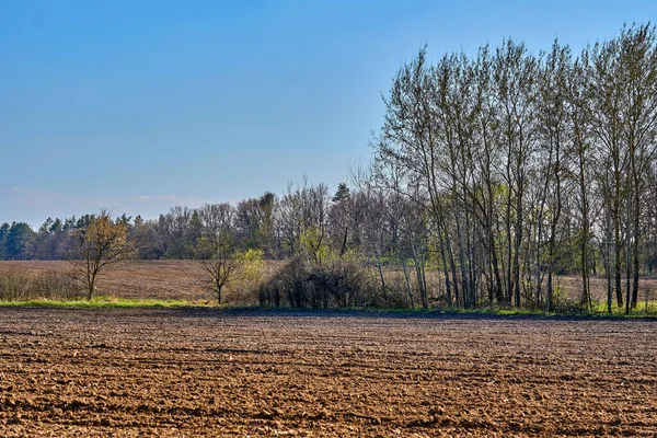 Spring arable land, plowed field prepared for planting cereals and vegetables — Stock Photo, Image