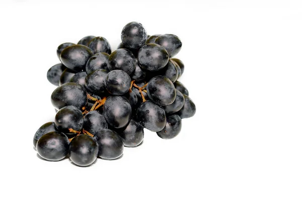 Isolated bunch cluster of black ripe grapes for wine on clean white space — Stock Photo, Image