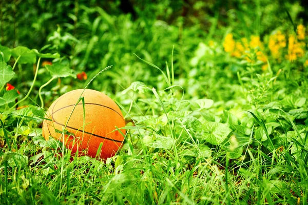 Оранжевый баскетбольный мяч на лугу с полевыми цветами и зеленой травой — стоковое фото