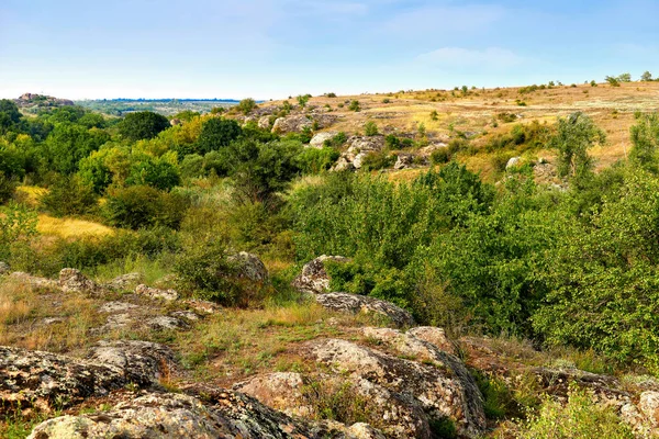 Ağaçlarla kaplı bir vadisi olan vahşi kayalık ovası.
