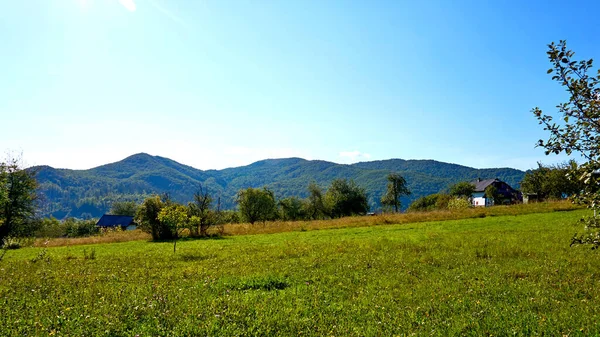 Berglandschaft mit Weiden und Obstbäumen im Dunst der Wolken — Stockfoto