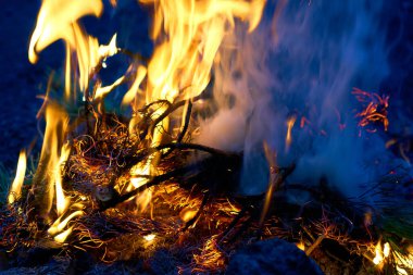 Bonfire and heat - burning flame. Forest fire