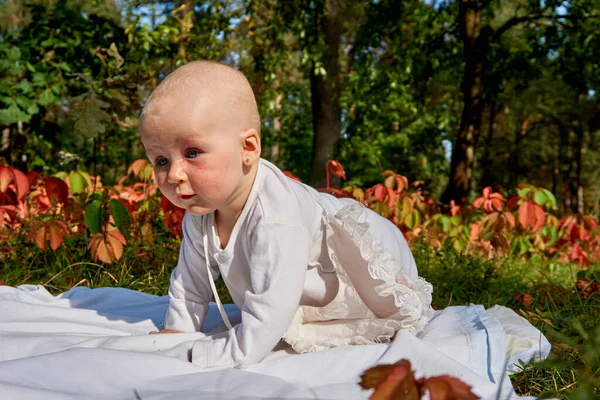 Маленький замечательный малыш ползает на одеяле в теплый летний день в парке — стоковое фото