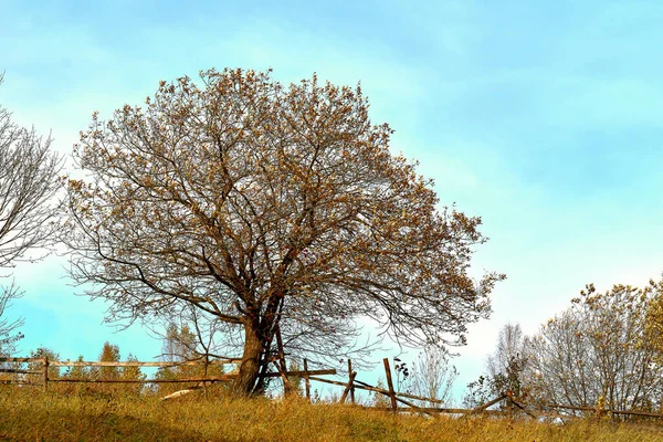 Autumn Most Colorful Time Year All Seasons Nature Changes Its — Fotografia de Stock