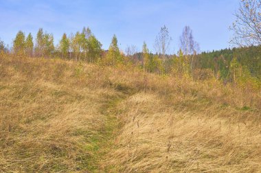 Sonbahar, doğanın her zamanki görünümünü güneşin altın renklerine çevirdiği tüm mevsimlerden yılın en renkli zamanıdır. Altın renklerin zamanı. Sonbahar ormanına giden patika.. 