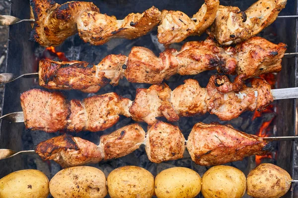 A meal or gathering at which meat, fish is cooked out of doors on a rack over an open fire or on a portable grill. Delicious piece of meat and potato fried over the fire at a picnic.