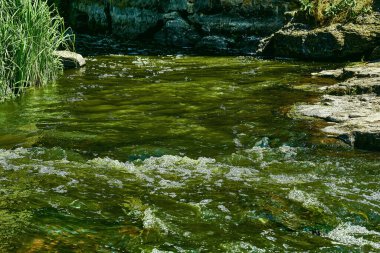 Bir kanalda denize, göle ya da başka bir dereye akan büyük bir doğal su akıntısı. Güneşli bir günde, bir dağ nehrinin saf ve güçlü akıntısı.
