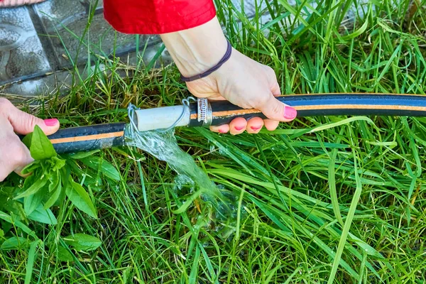 Flexible Tube Conveying Water Used Chiefly Watering Plants Firefighting Hands — Fotografia de Stock