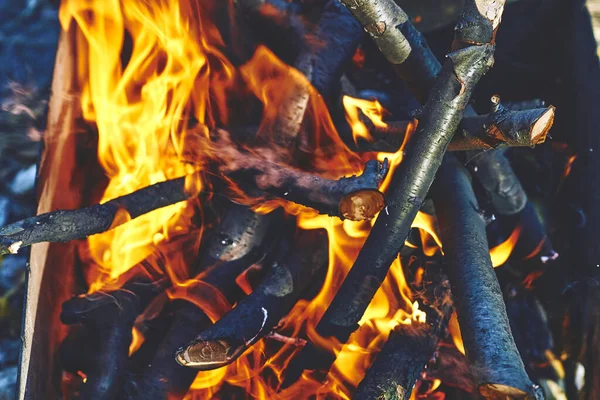 a large open air fire used as part of a celebration, for burning trash, or as a signal. Kindling fruit firewood for grilling and smoking fish meat