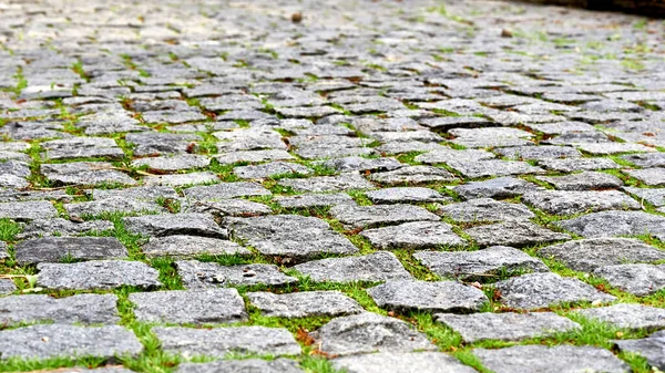 of a piece of ground, covered with concrete, asphalt, stones, or bricks.Paving stones. Paved pavement with sprouted green grass on a warm sunny day