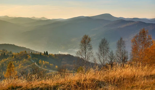 Wide Way Leading One Place Another Especially One Specially Prepared — Stok fotoğraf