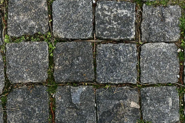Piece Ground Covered Concrete Asphalt Stones Bricks Paving Stones Paved — Stok fotoğraf