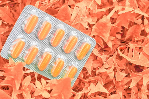 A small round mass of solid medicine to be swallowed whole. Light bister with orange pills on red orange foliage