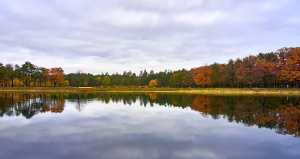 Осень Самое Красочное Время Года Природа Меняет Свой Обычный Облик — стоковое фото