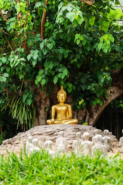 Βούδας κάτω από το δέντρο του bo — Φωτογραφία Αρχείου