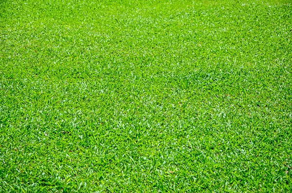 Hacia el verde — Foto de Stock