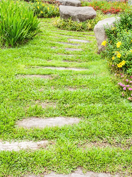 The path in the garden. — Stock Photo, Image