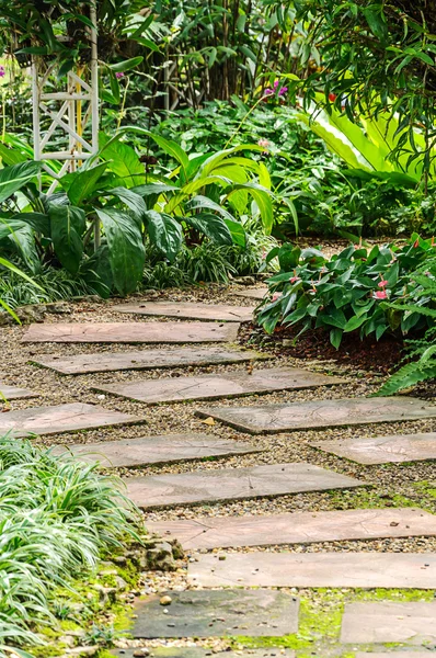 The path in the garden. — Stock Photo, Image