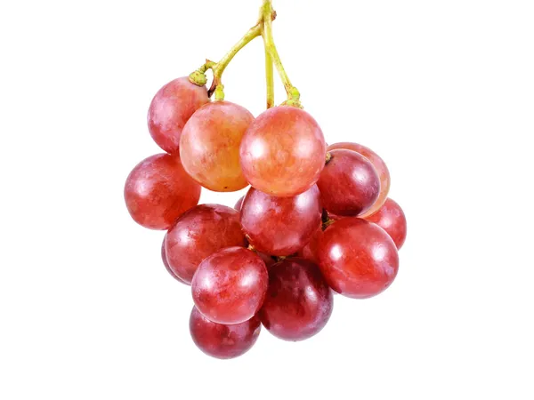 Červené hroznové víno, samostatný — Stock fotografie