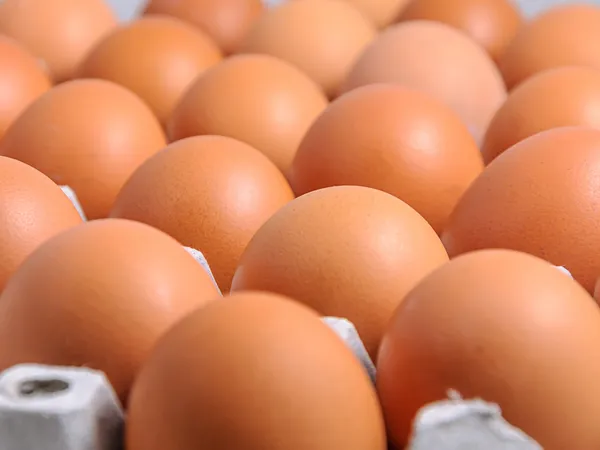 Куриные яйца — стоковое фото