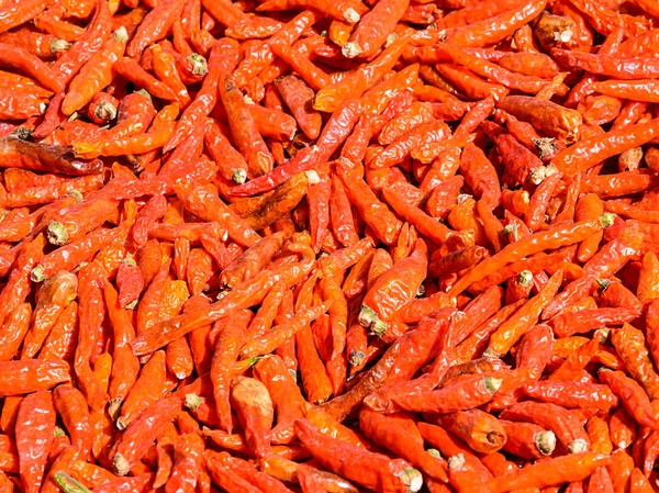 Dried red chilli — Stock Photo, Image