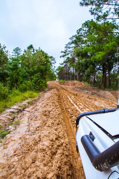 Tire tracks. — Stock Photo, Image