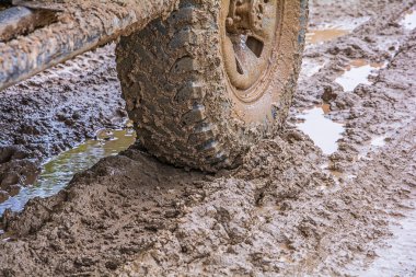 Otomobilin tekerlekleri.