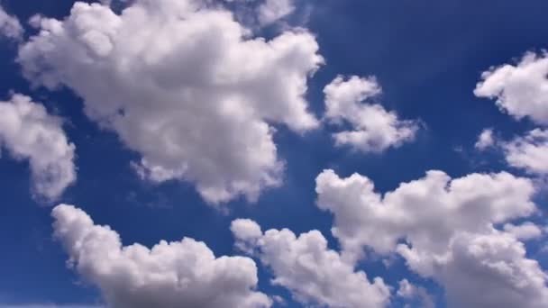 Zeitraffer Ziehen Aufgedunsene Wolken Über Den Blauen Himmel Ultra Wolkenlandschaft — Stockvideo