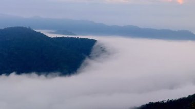 Time Lapse video 4k, Tayland 'ın kuzeyindeki Chiang Mai' deki Huay Kub Kab köyündeki dağlarda bir Misty sabahının manzarası. Alçak bulutlar ve sis yeşil ormanın üzerinde yuvarlanıyor