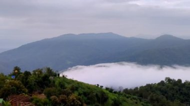 Time Lapse video 4k, Tayland 'ın kuzeyindeki Chiang Mai' deki Huay Kub Kab köyündeki dağlarda bir Misty sabahının manzarası. Alçak bulutlar ve sis yeşil ormanın üzerinde yuvarlanıyor
