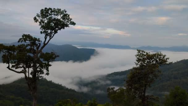 Time Lapse Βίντεο Τοπίο Ενός Misty Πρωί Στα Βουνά Στο — Αρχείο Βίντεο