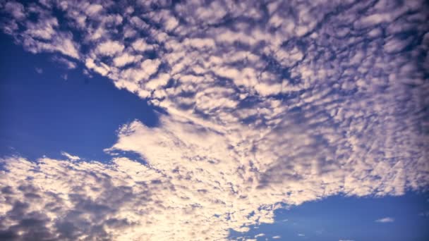 Time Lapse Clouds Puffy Moving Blue Sky Ultra Scenery Cloud — Stock Video