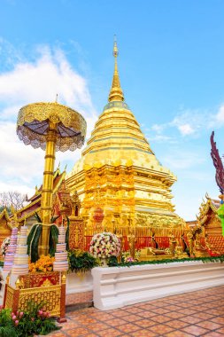 Chiang Mai, Tayland 'daki Phra That Doi Suthep Tapınağı' nda altın pagoda. Chiang Mai 'nin dini bir turistik cazibesi.