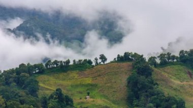 Time Lapse video 4k, Kuzey Tayland 'daki Nan dağlarında bir sisli sabahın manzarası. Alçak bulutlar ve sis yeşil ormanın üzerinde yuvarlanıyor