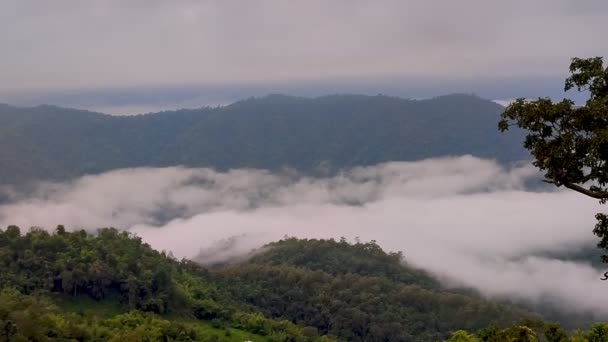 时间拉普斯视频4K 在泰国北部清迈淮库布卡布村的一个雾蒙蒙的早晨场景 低云和雾气弥漫在绿林之上 — 图库视频影像
