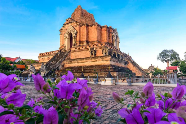 Chedi Luang Varavihara Храм Древней Большой Пагоды 700 Лет Чиангмай — стоковое фото