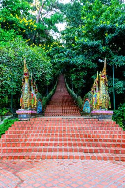 Chiang Mai, Tayland 'daki Doi Suthep Tapınağı' na Naga Merdivenleri.