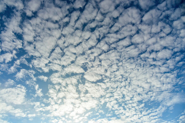 Пушистые пушистые белые облака против дневного неба. Кумулус это пушистое облако, как ватный шар.