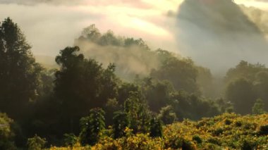 Zaman aşımı videosu, Baan Jabo 'da Sabah Sisi, Tayland Mae Hong Son' ın en sevilen turist mekanı. Baan Jabo Tayland 'ın en harika sislerinden biri..