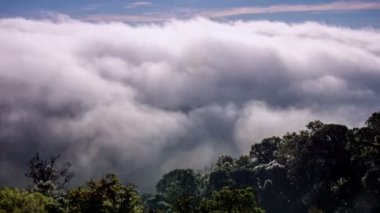 Doi Inthanon Ulusal Parkı 'nda, Chiang Mai Tayland' da hareket eden sislerin zaman aşımına uğraması. Zaman aşımına uğramış doğa manzaraları sabah vakti.