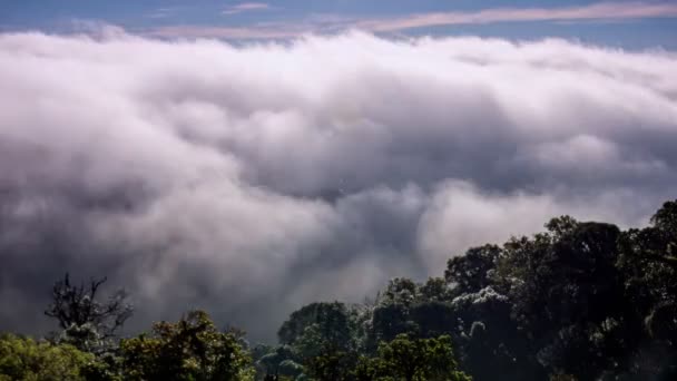 Time Lapse Nebbia Movimento Che Scorre Cima Alla Collina Doi — Video Stock