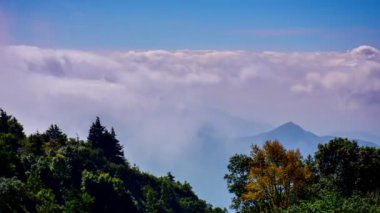 Doi Inthanon Ulusal Parkı 'nda, Chiang Mai Tayland' da hareket eden sislerin zaman aşımına uğraması. Zaman aşımına uğramış doğa manzaraları sabah vakti.