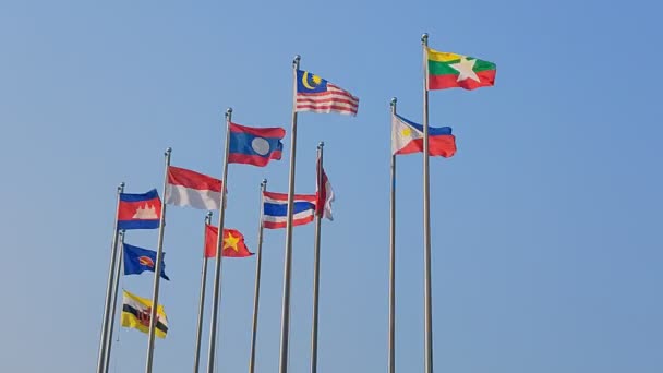 Nationale Vlag Van Associatie Van Zuidoost Aziatische Naties Asean Regionale — Stockvideo