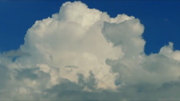 時間の経過とともに 雲が青い空を横切って移動しています 動きの雲の超Hd風景 積雲雲時間の経過 — ストック動画