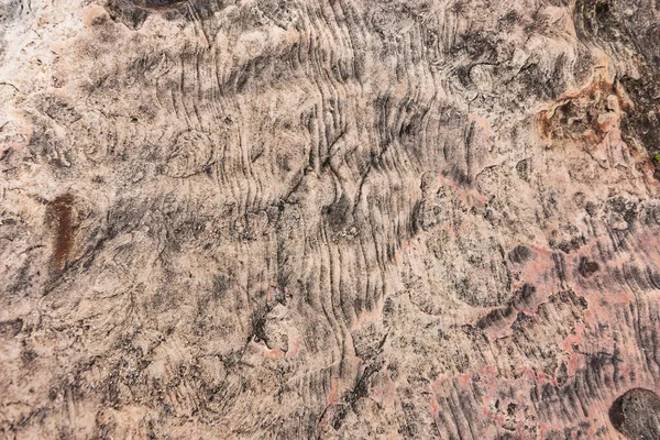 Stones Texture Background Backdrop Closeup Shot Rock Surface — Stock Photo, Image