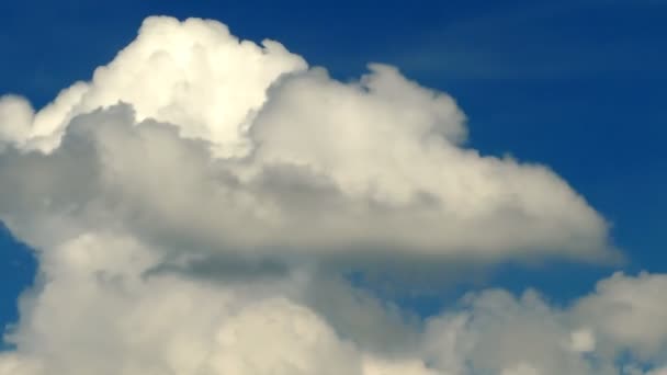 Time Lapse Clouds Puffy Moving Blue Sky Ultra Scenery Cloud — Stock Video