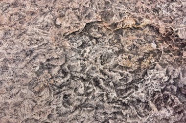 Arkaplan veya arkaplan için taş dokusu. Kaya yüzeyinin yakın çekim görüntüsü 