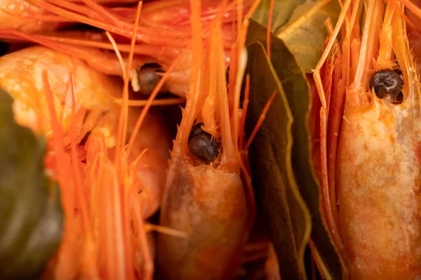 Γαρίδες Ατλαντικού Μαγειρεμένες Μπαχάρι Και Φύλλα Δάφνης Υφή Επιφάνειας — Φωτογραφία Αρχείου