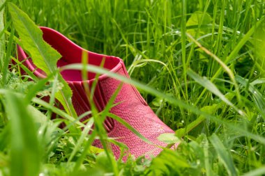 Yeşil çimlerde bir çift pembe lastik galoş.