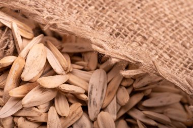 Beyaz ayçiçeği tohumları kaba bir çuval bezinin arka planına saçılmış, yakın çekim seçici odak